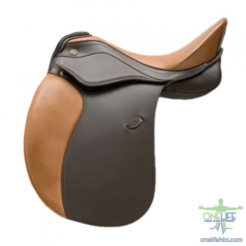 Upper Centrals and Canines